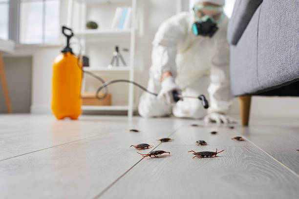 Commercial Kitchen Cockroach Control in Brown City